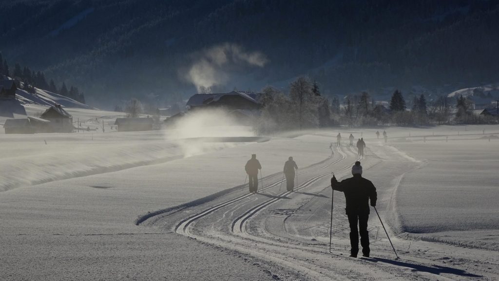 Image par wurliburli de Pixabay