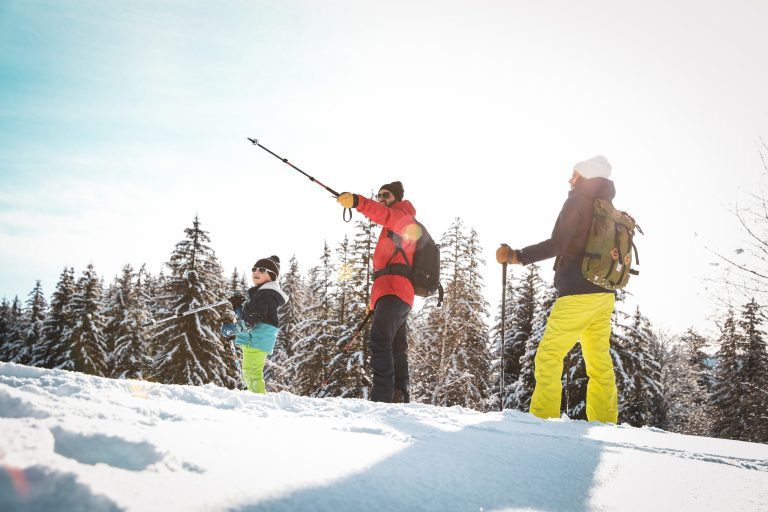 Ski français : bulletin officiel de la Fédération française
