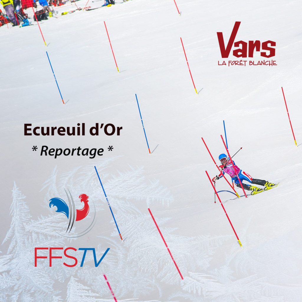 ecureuil-or-vars-ffstv