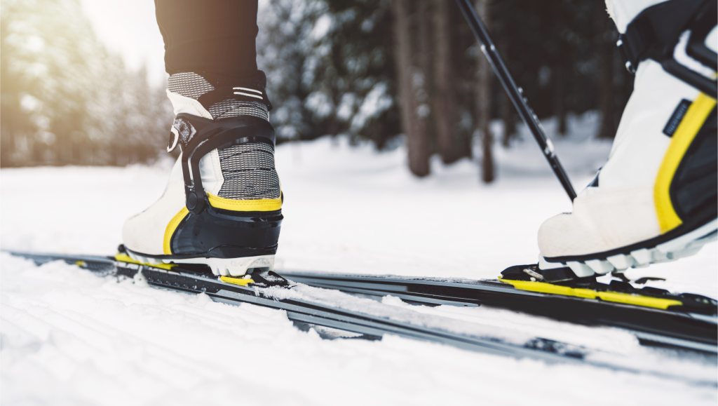 Chaussure Ski Alpin Premium Adulte